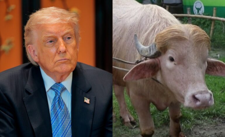 Donald Trump, the Buffalo, Escaped the Chop. Here’s How.