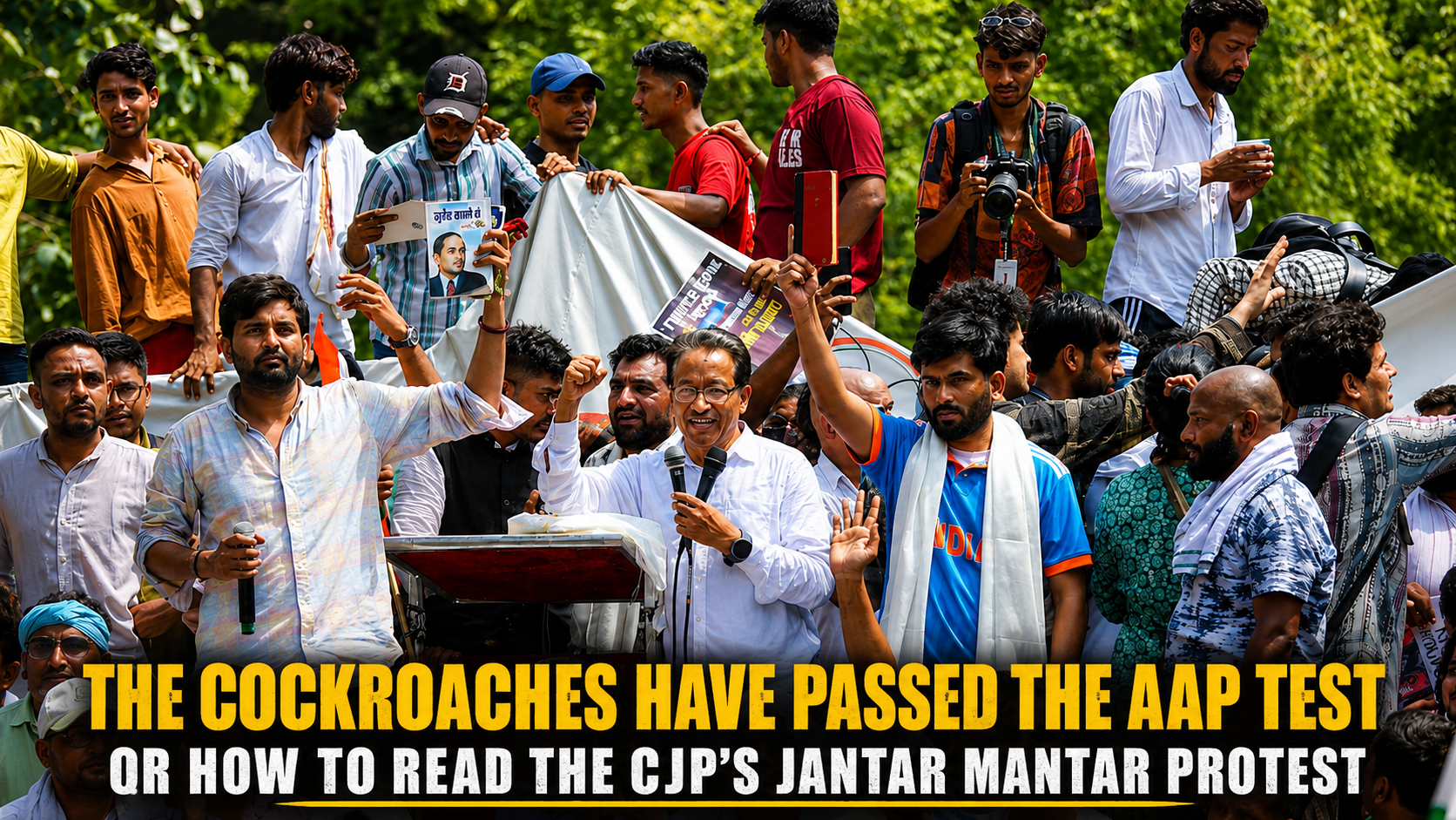 The Cockroaches Have Passed The AAP Test